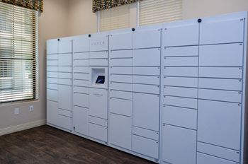 Secure Package Receiving Lockers for Residents at Safe Apartments to Rent in Mesa Arizona
